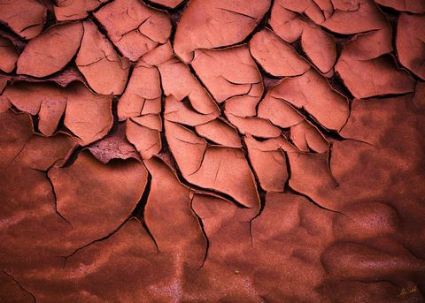 Desiccation in North Canyon