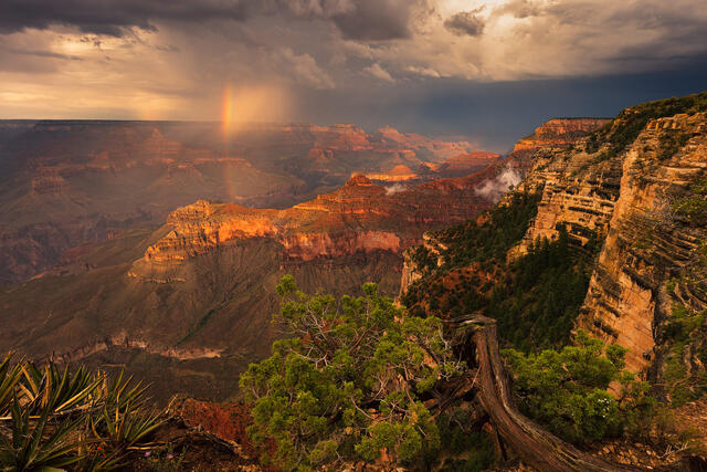 Photos of the Monsoon season at the Grand Canyon | Fine Art Landscape ...